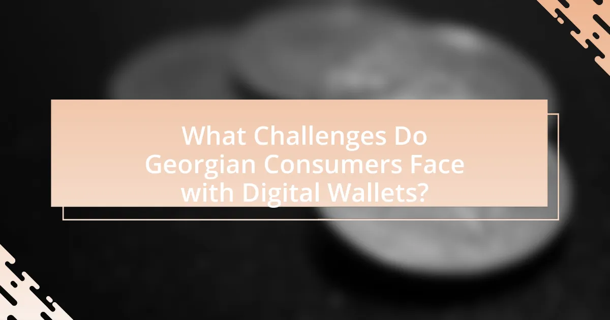 What Challenges Do Georgian Consumers Face with Digital Wallets?