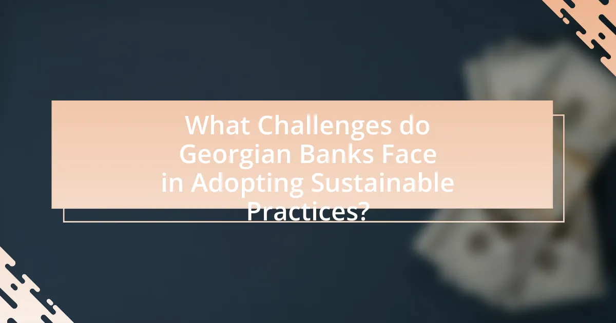 What Challenges do Georgian Banks Face in Adopting Sustainable Practices?