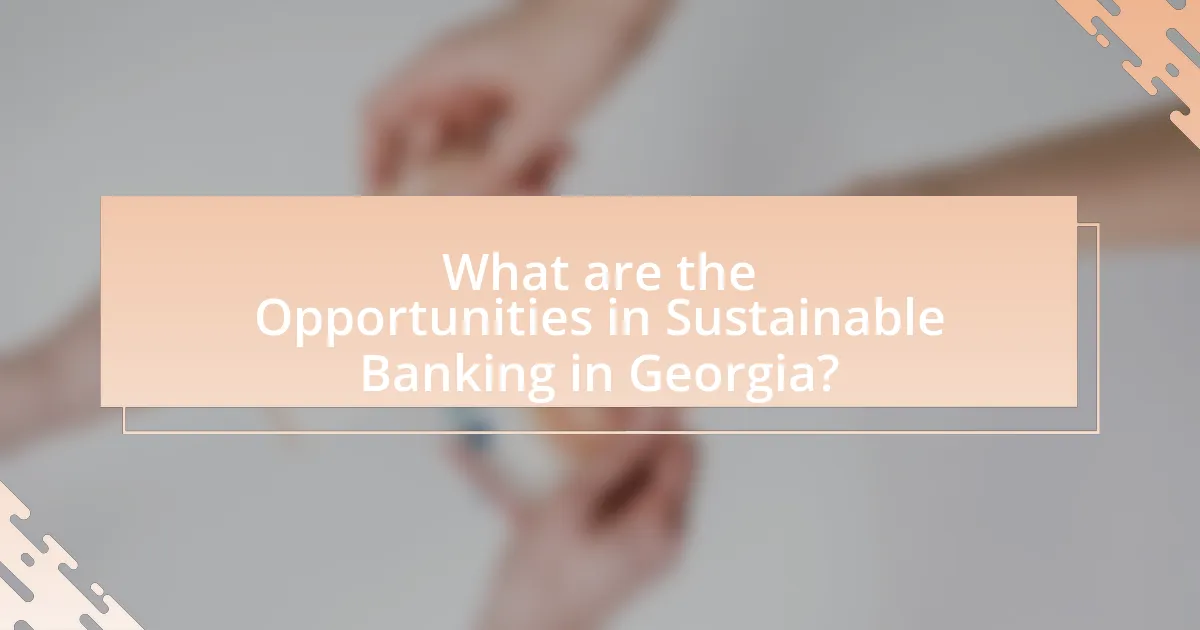 What are the Opportunities in Sustainable Banking in Georgia?