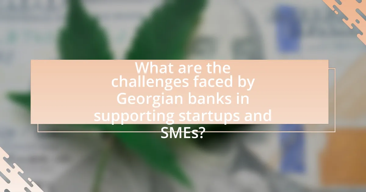 What are the challenges faced by Georgian banks in supporting startups and SMEs?