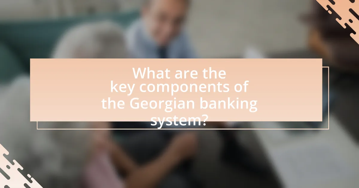 What are the key components of the Georgian banking system?