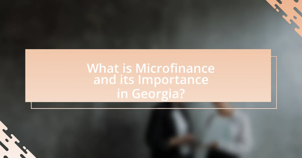 What is Microfinance and its Importance in Georgia?