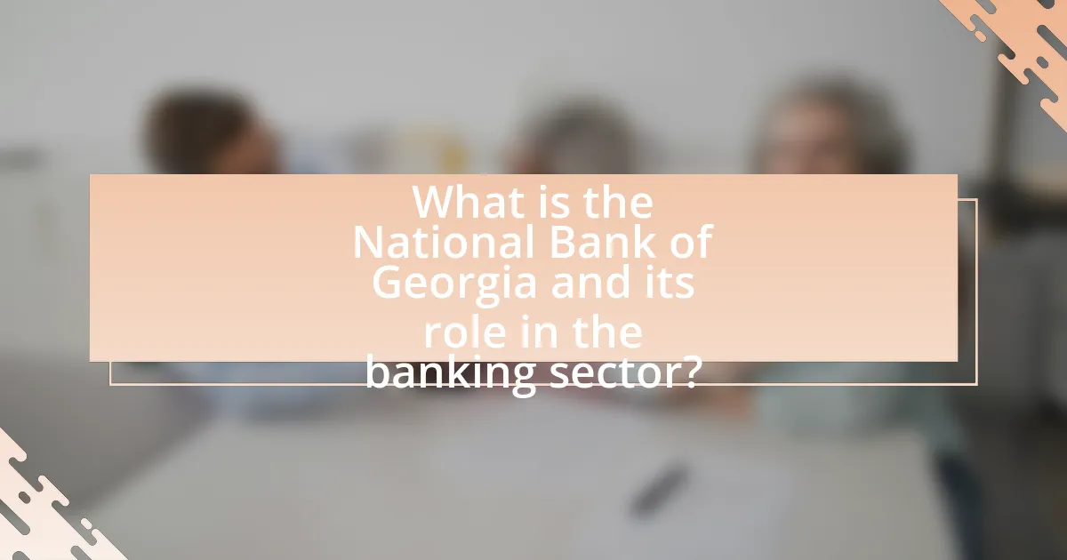 What is the National Bank of Georgia and its role in the banking sector?