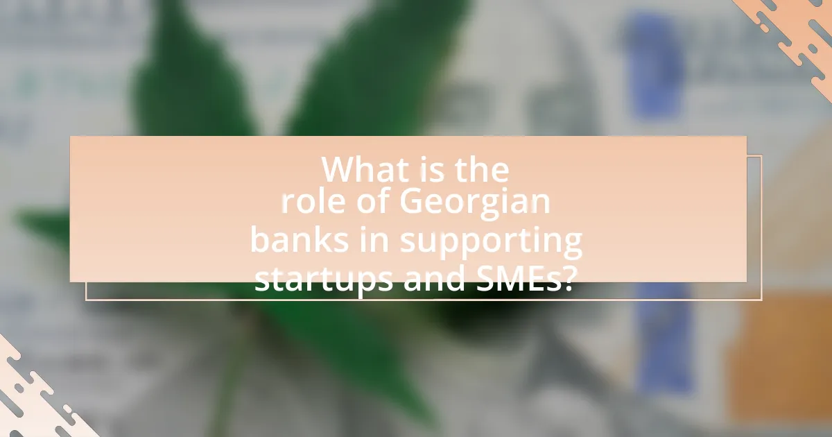 What is the role of Georgian banks in supporting startups and SMEs?